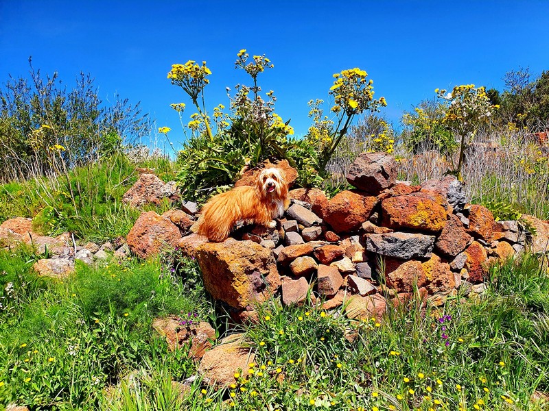 20210404_124648xs_15_08