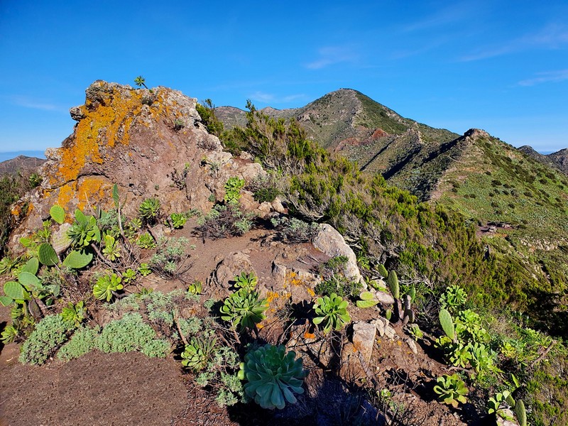 20221020_100135xs_15_08