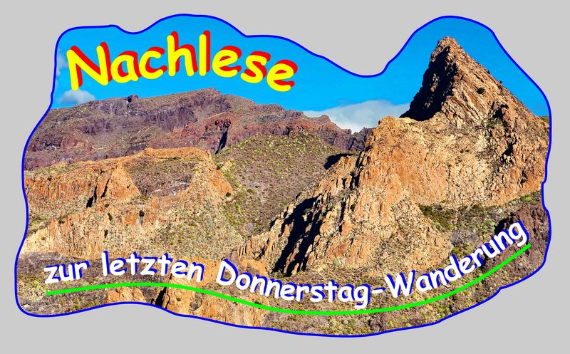 Nachlese-99-8