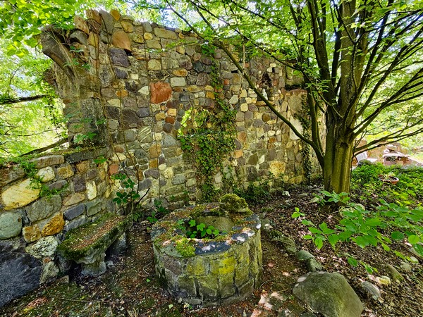 20250519_124551xs-6